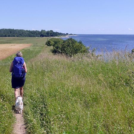 Apartmán Goldsprotte Eckernförde Exteriér fotografie